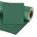 COLORAMA Hintergrundkarton Spruce Green 2,72x11m