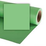 COLORAMA Hintergrundkarton Summer Green 2,72x11m